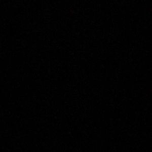 Meet your Posher, Ella